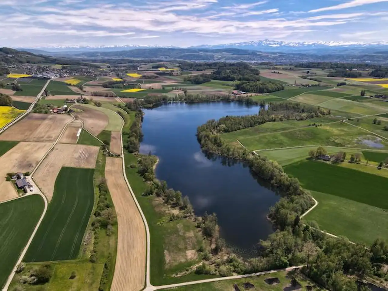 Vista aérea del lago Hüttwilersee, uno de los tres lagos de Suiza donde se realizaron los estudios / Foto: Thomas Stadler Vista aérea del lago Hüttwilersee, uno de los tres lagos de Suiza donde se realizaron los estudios / Foto: Thomas Stadler