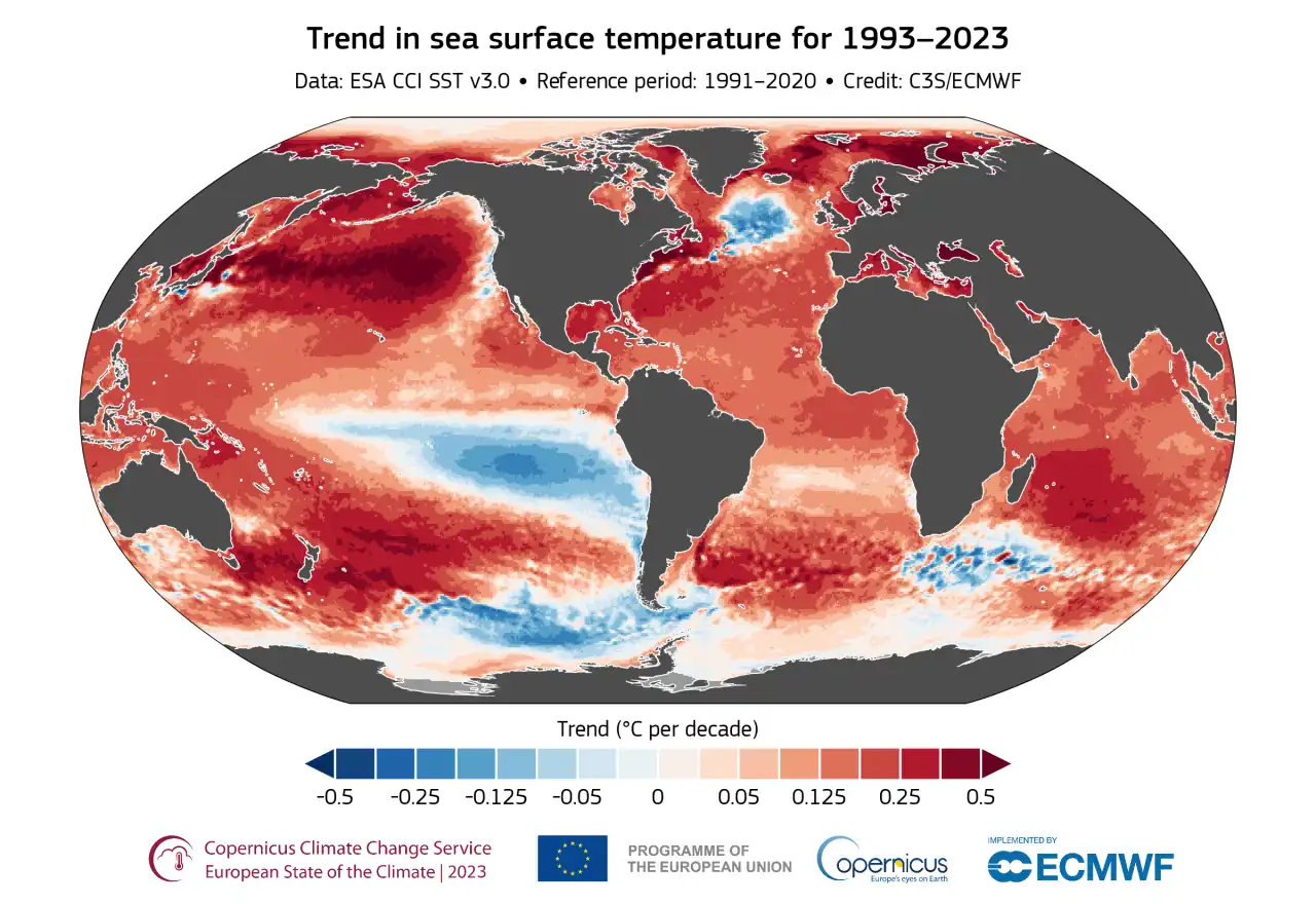 Tendencia de la temperatura de la superficie del mar entre 1993 y 2024 / Imagen: Copernicus
