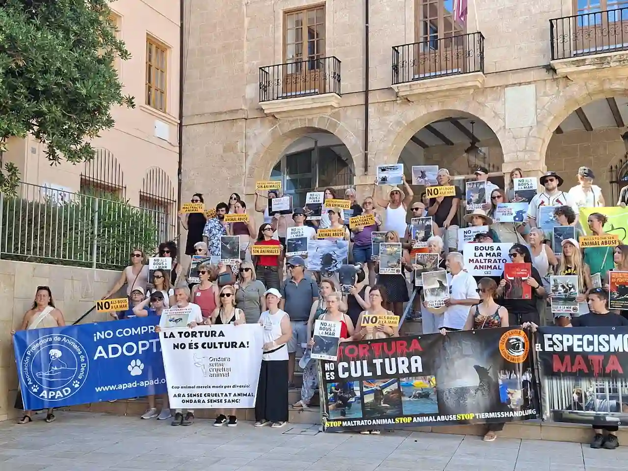 Activistas se manifiestan frente al Ayuntamiento de Dénia contra los Bous a la Mar y reclaman un año más la abolición de esta celebración taurina / Foto: DAS
