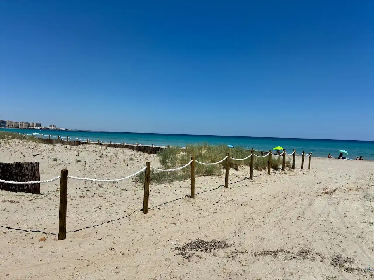 Restauración dunar en 33.000 m2 de La Manga del Mar Menor / Foto: MITECO