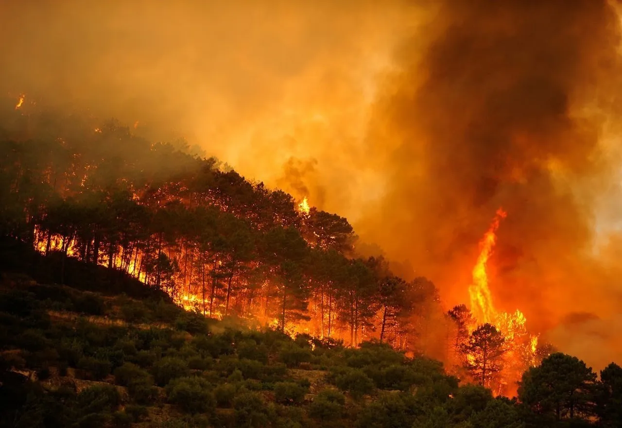 Europa afronta una campaña de incendios adelantada con 126.328 hectáreas ya calcinadas / Foto: Archivo - EP