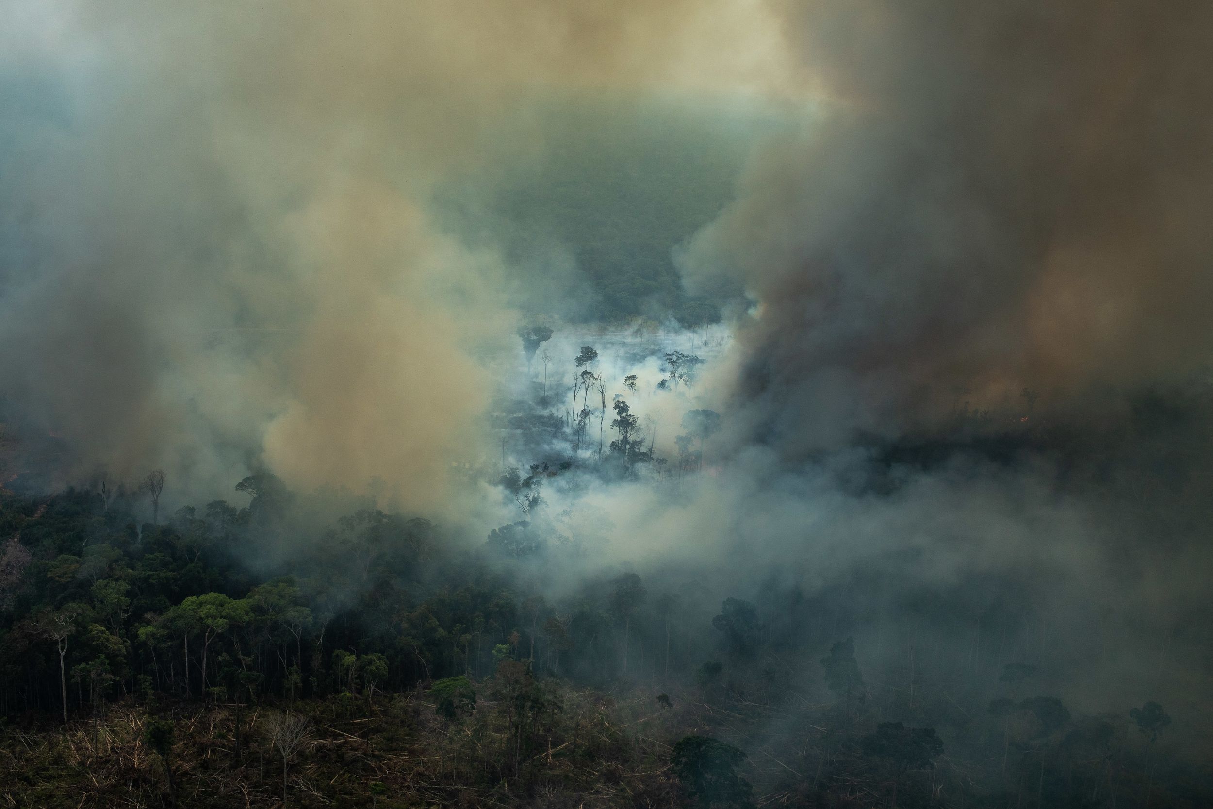 Las llamas avanzando el pasado sábado por Candeiras do Jamari, en el estado brasileño de Rondônia / Foto: Victor Moriyama - Greenpeace