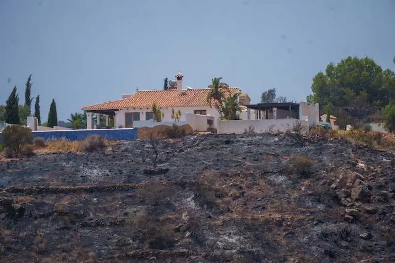 Una zona afectada por el paso del incendio de Los Gallardos / Foto: Francisco J. Olmo-EP