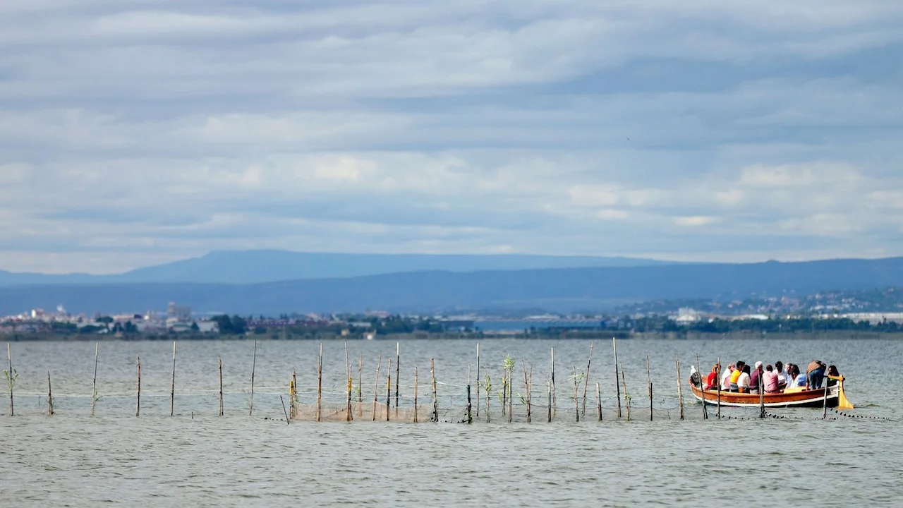 El nivel de l'Albufera de València está por debajo del mínimo de referencia / Foto: Ayto. València