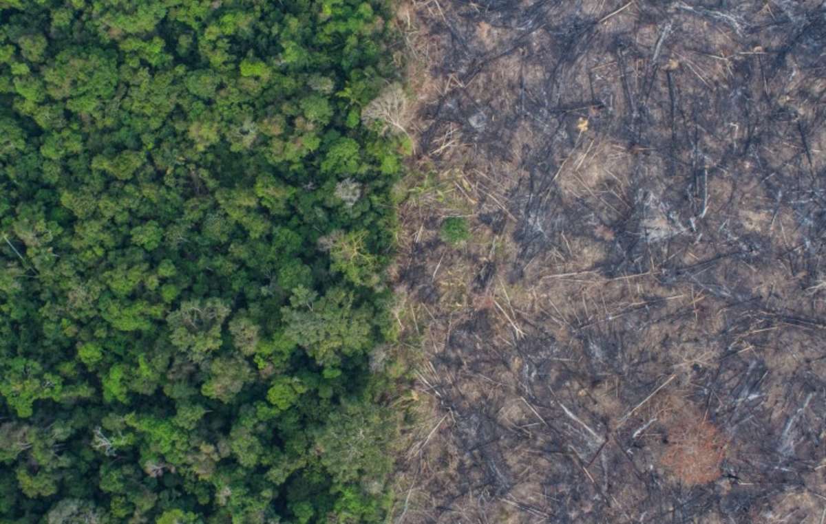 Imagen aérea de las tierras de los Uru Eu Wau Wau tras los últimos incendios / Foto: Kaninde