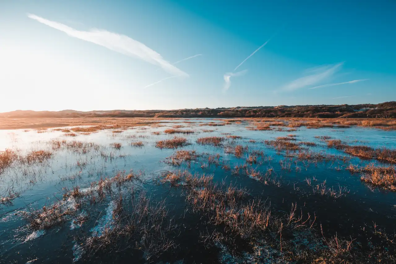 Los humedales europeos, entre los sumideros de carbono más eficaces de la naturaleza / Foto: FP Los humedales europeos, entre los sumideros de carbono más eficaces de la naturaleza / Foto: FP