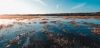 Los humedales europeos, entre los sumideros de carbono más eficaces de la naturaleza / Foto: FP Los humedales europeos, entre los sumideros de carbono más eficaces de la naturaleza / Foto: FP