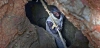 Mina de Koutoula Yarcé, Kaya, Burkina Faso. Un 'orpailleur' ata su cuerpo a una soga en mal estado la única medida de seguridad / Foto: Alfons Rodríguez Mina de Koutoula Yarcé, Kaya, Burkina Faso. Un 'orpailleur' ata su cuerpo a una soga en mal estado la única medida de seguridad / Foto: Alfons Rodríguez