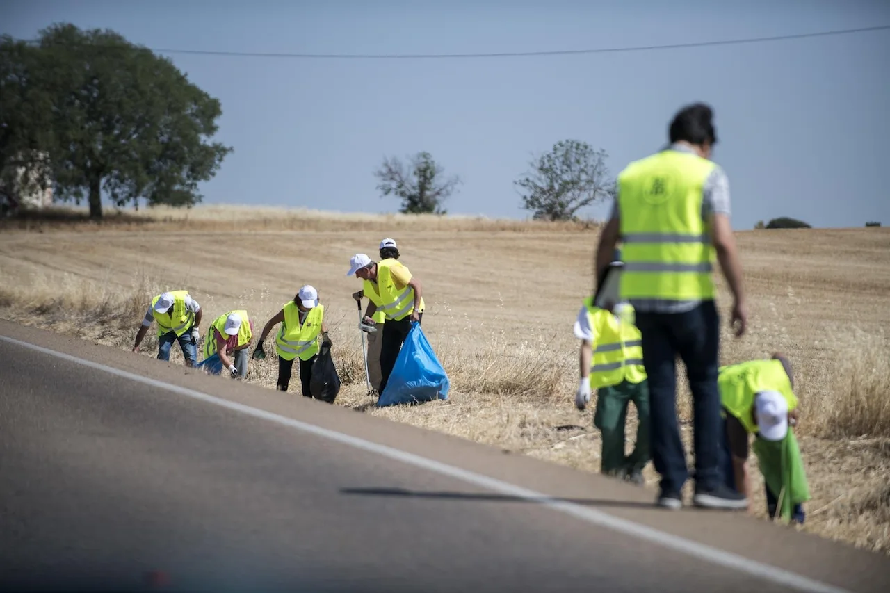 Voluntarias y voluntarios recogen basuraleza en la cuneta de una carretera / Foto: SEO/BirdLife