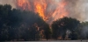 Incendio forestal, en la carretera M 206 entre Torrejón de Ardoz y Loeches, a 23 de julio de 2026, en Madrid (España) / Foto: EP Incendio forestal, en la carretera M 206 entre Torrejón de Ardoz y Loeches, a 23 de julio de 2026, en Madrid (España) / Foto: EP