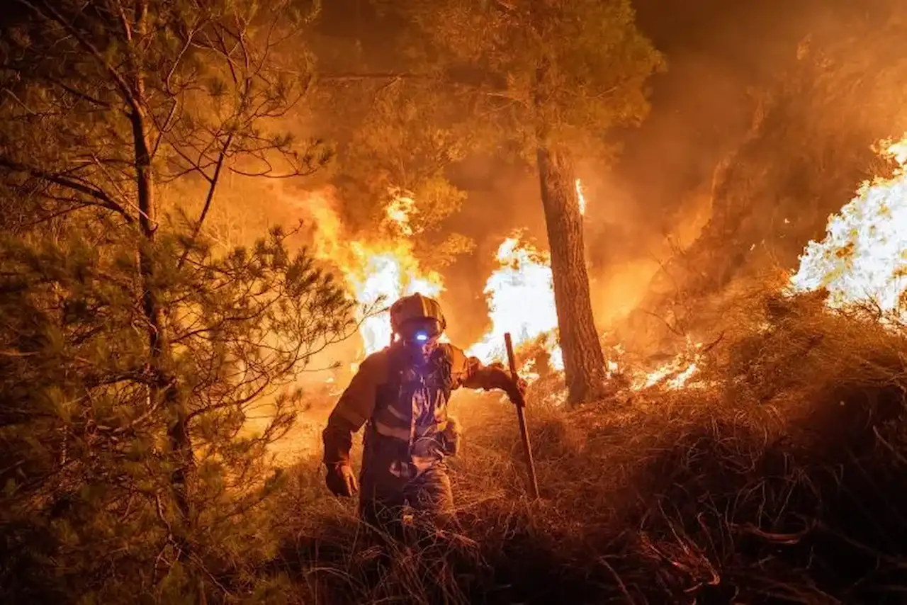 Desmontando bulos sobre incendios forestales. La BRIF trabaja en la extinción de incendio en Albacete / Foto: Pedro Armestre-Greenpeace Desmontando bulos sobre incendios forestales. La BRIF trabaja en la extinción de incendio en Albacete / Foto: Pedro Armestre-Greenpeace