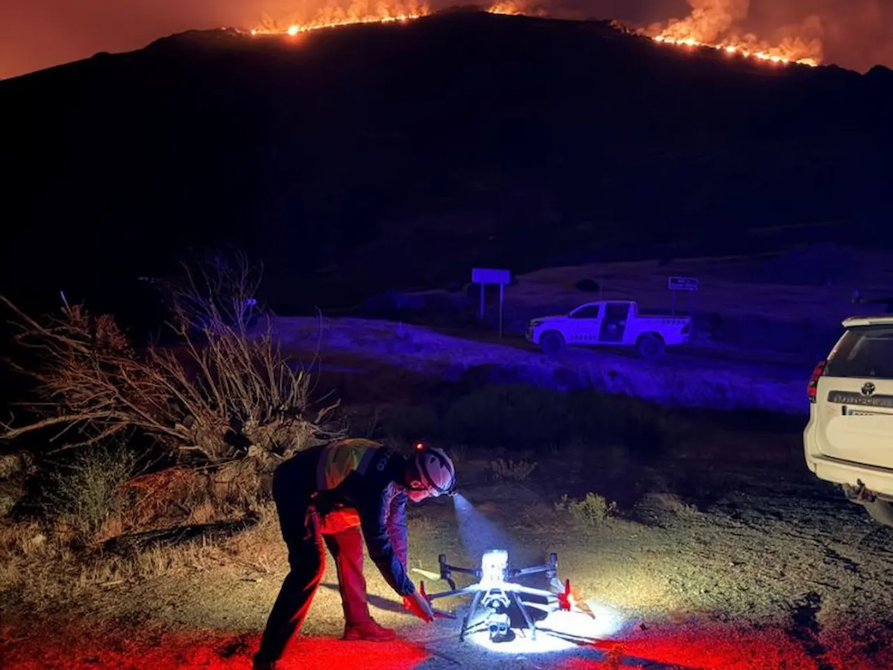 En las tareas de asesoramiento en incendios participa personal experto del ICMAN, ICIFOR, CIDE y CENIM, entre otros institutos / Foto: CISC