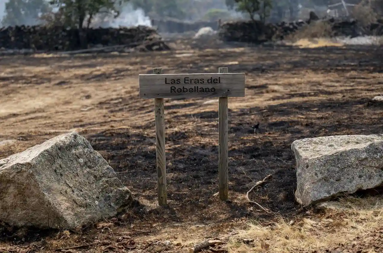 Penas duras por incendios forestales intencionados. Zonas calcinadas tras el paso del incendio forestal / Foto: Alberto Ortega-EP