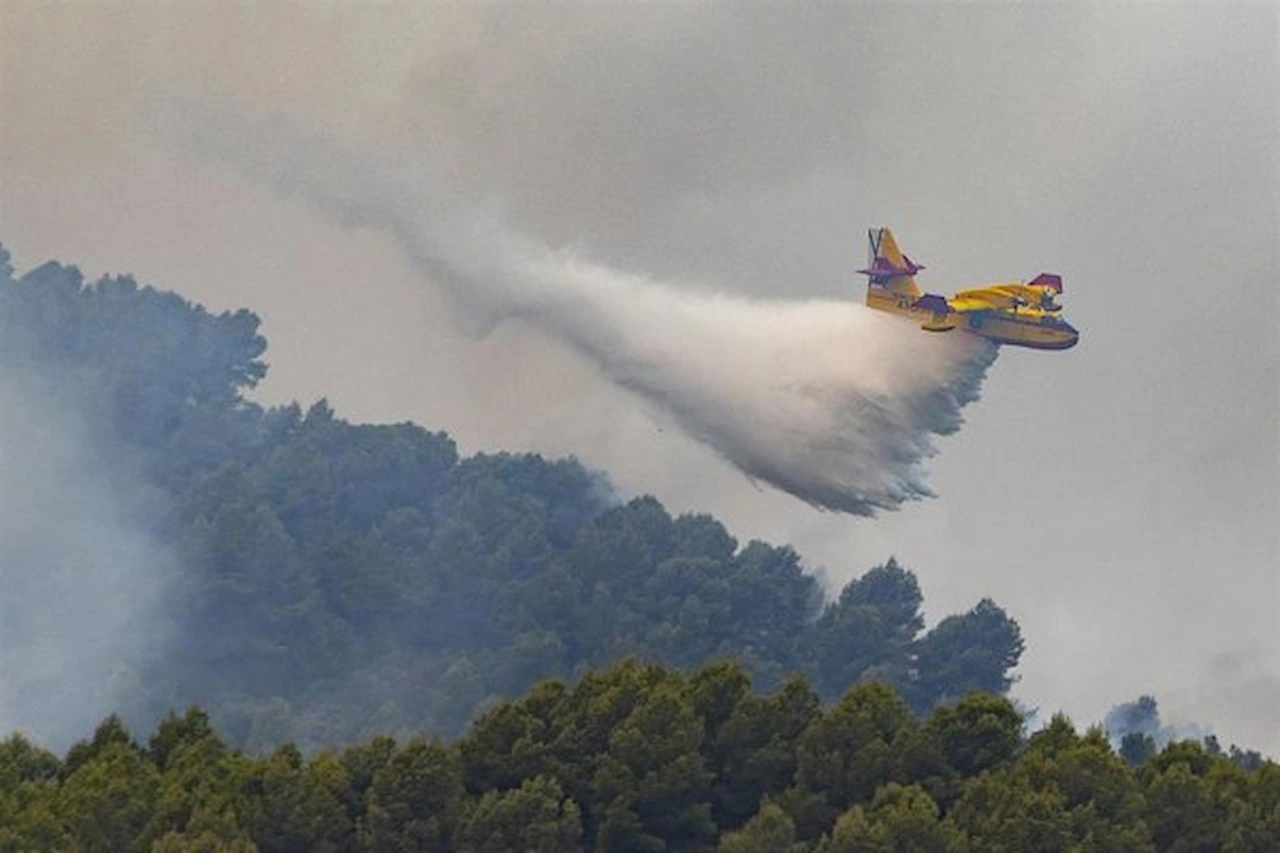 El ozono incrementa los ingresos hospitalarios después de los incendios / Foto: EP