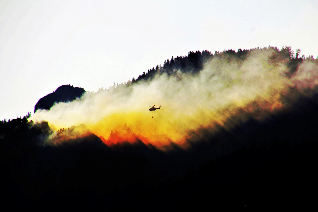 Casi seis millones de hectáreas quemadas en la temporada de incendios de 2026 / Foto: PB Casi seis millones de hectáreas quemadas en la temporada de incendios de 2026 / Foto: PB