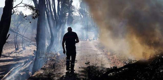 Pocas condenas por incendios intencionados / Foto: The Conversation