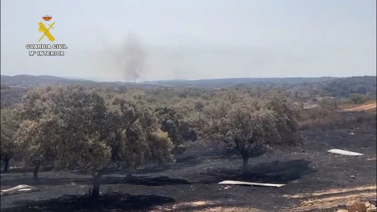 Zona arrasada por el incendio forestal declarado en El Cerro del Andévalo (Huelva) / Foto: G.C.