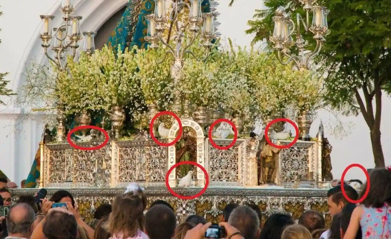 Prohibido el uso de palomas en la procesión de la Virgen del Águila / Foto: PACMA Prohibido el uso de palomas en la procesión de la Virgen del Águila / Foto: PACMA