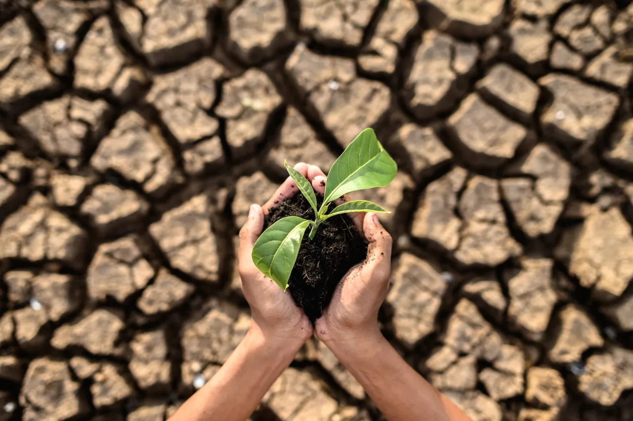 El apoyo a las políticas climáticas se debilita en cuanto la medida se traduce en una factura concreta para el ciudadano / Foto: FP El apoyo a las políticas climáticas se debilita en cuanto la medida se traduce en una factura concreta para el ciudadano / Foto: FP