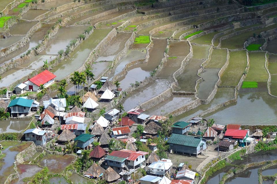 Campos de arroz en terraza en una aldea de Filipinas, donde es el principal alimento / Foto: SoleneC1