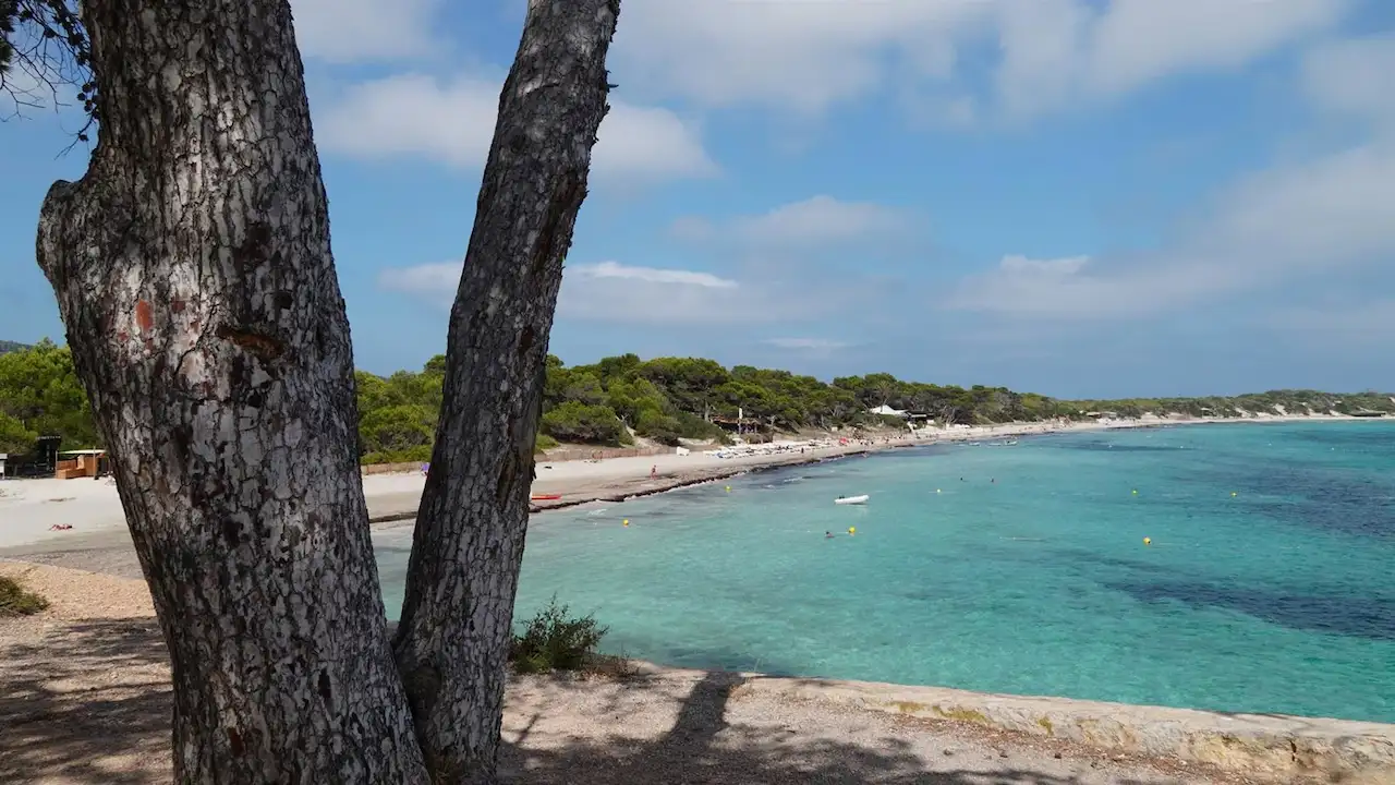 Parque Natural de Ses Salines de Ibiza y Formentera / Foto: EP