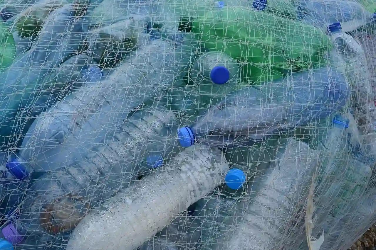 Botellas de plástico para reciclaje / Foto: PB Botellas de plástico para reciclaje / Foto: PB
