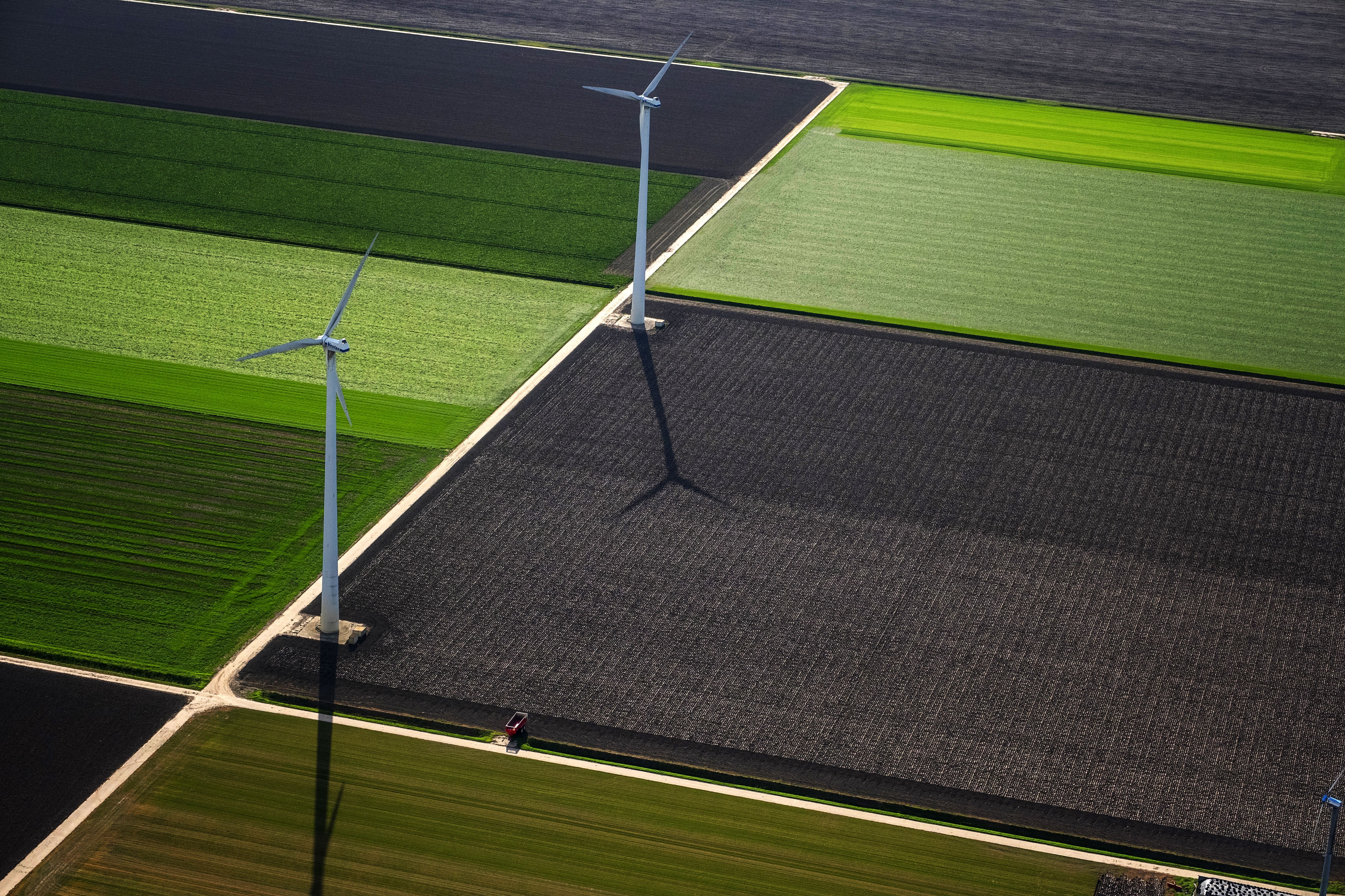 Aerogeneradores entre cultivos en la provincia de Flevoland, la mayor recuperación de tierras al mar de la historia / Foto: Josep Cano