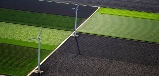 Aerogeneradores entre cultivos en la provincia de Flevoland, la mayor recuperación de tierras al mar de la historia / Foto: Josep Cano