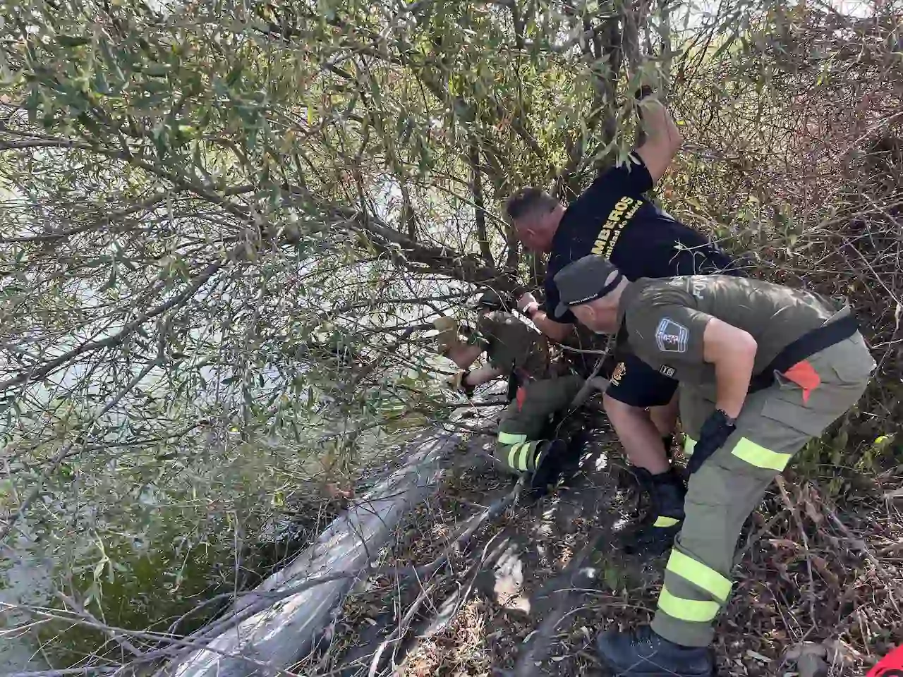 Bomberos forestales de la Comunidad de Madrid denuncian su situación laboral / Foto: CM Bomberos forestales de la Comunidad de Madrid denuncian su situación laboral / Foto: CM