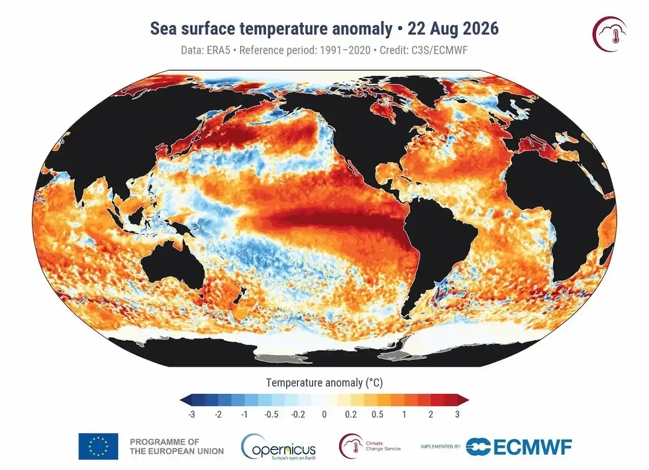Récord en temperatura oceánica / Imagen: C3S/ECMWF Récord en temperatura oceánica / Imagen: C3S/ECMWF