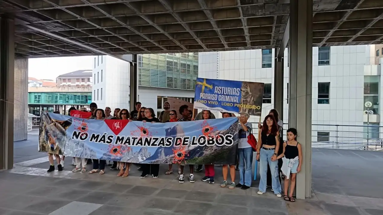 "No más matanzas de lobos". Concentración de Grupo Lobo Asturias / Foto: GLA