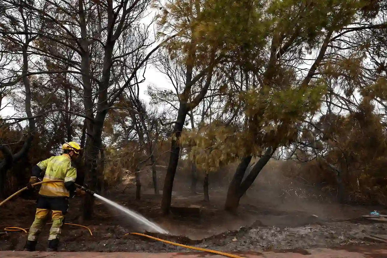 Bomberos trabajan en el fuego de El Saler / Foto: EP Bomberos trabajan en el fuego de El Saler / Foto: EP