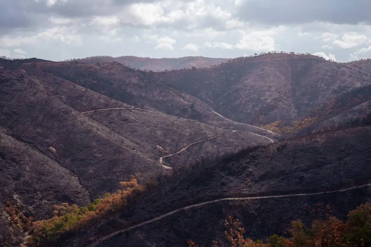Cazadores suspenden la caza cuatro años. Entorno afectado por el incendio de Niebla en El Berrocal / Foto: EP Cazadores suspenden la caza cuatro años. Entorno afectado por el incendio de Niebla en El Berrocal / Foto: EP