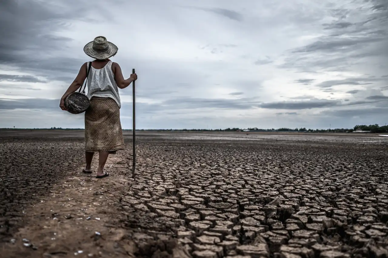 El fenómeno de El Niño suele traer consigo condiciones más secas, lo que aumenta el riesgo de sequías severas e incendios forestales / Foto: FP El fenómeno de El Niño suele traer consigo condiciones más secas, lo que aumenta el riesgo de sequías severas e incendios forestales / Foto: FP