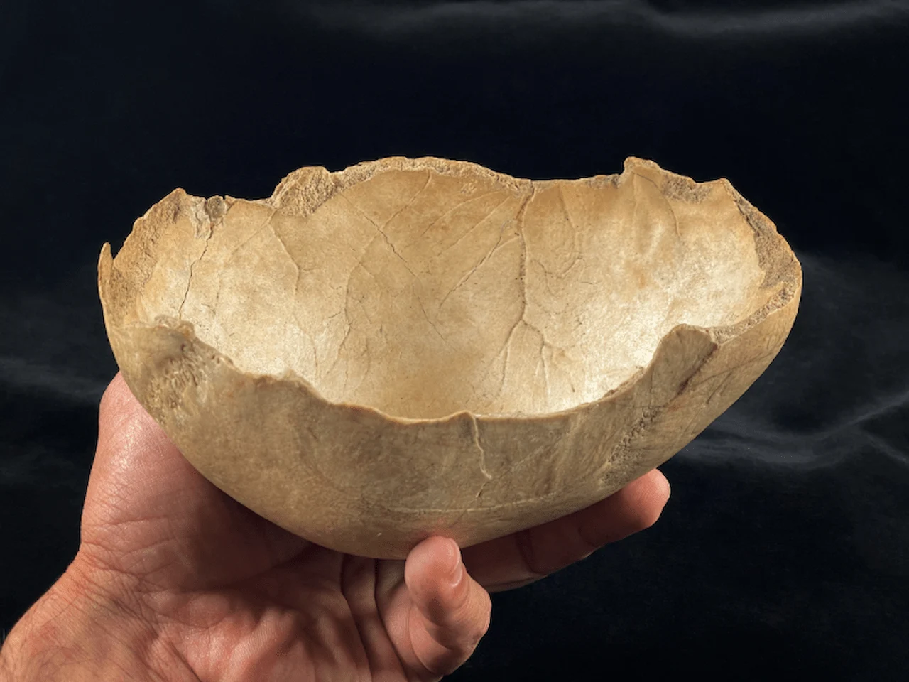 Uno de los ‘cráneos copa’ encontrados en Carigüela / Foto: Antonio Rodríguez-Hidalgo, IAM