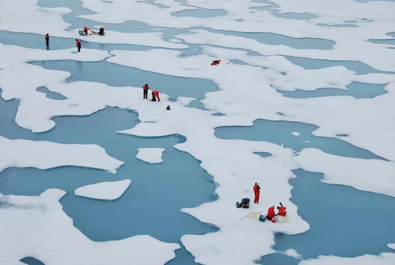 Investigdoras recogen muestras de algas y hielo marino en el mar de Chukchi, océano Ártico / Foto: Melinda Webster - PB