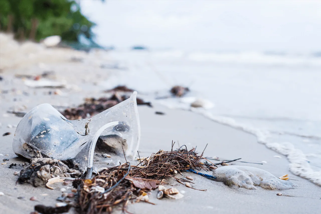 La basura en la playa de arena muestra el problema de la contaminación ambiental / Foto: FP