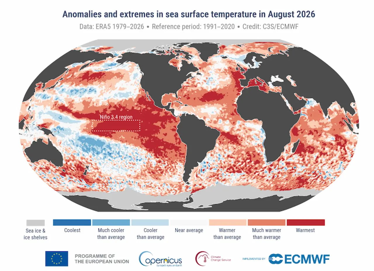 Anomalías y extremos de la temperatura de la superficie del mar en agosto de 2026 respecto al periodo de referencia 1991-2020, con la región Niño 3.4 señalada en el Pacífico / Mapa: Copernicus (C3S/ECMWF)