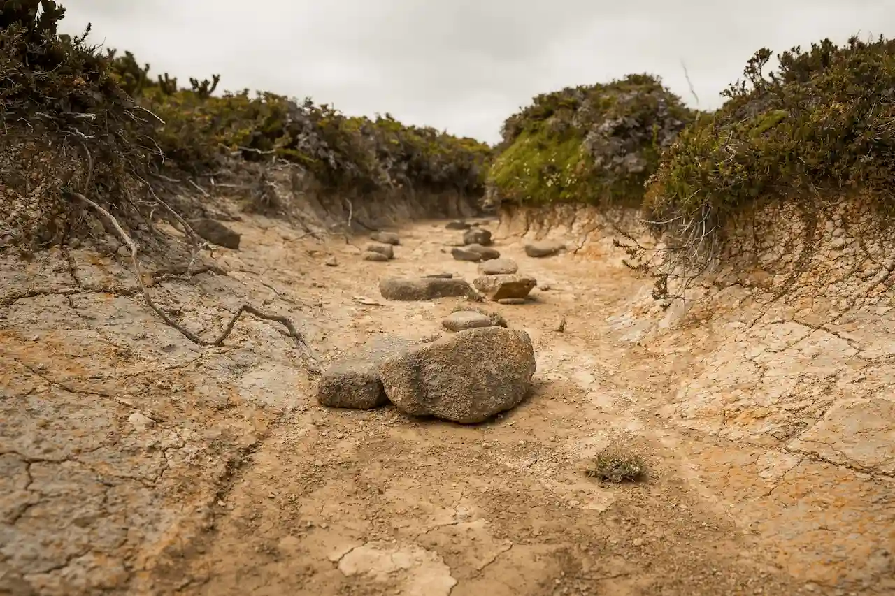 Lecho seco de un arroyo en las montañas Hartz, en Tasmania (Australia); 2025 fue uno de los años más secos para los ríos del mundo en 35 años / Foto: UP Lecho seco de un arroyo en las montañas Hartz, en Tasmania (Australia); 2025 fue uno de los años más secos para los ríos del mundo en 35 años / Foto: UP