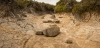 Lecho seco de un arroyo en las montañas Hartz, en Tasmania (Australia); 2025 fue uno de los años más secos para los ríos del mundo en 35 años / Foto: UP Lecho seco de un arroyo en las montañas Hartz, en Tasmania (Australia); 2025 fue uno de los años más secos para los ríos del mundo en 35 años / Foto: UP