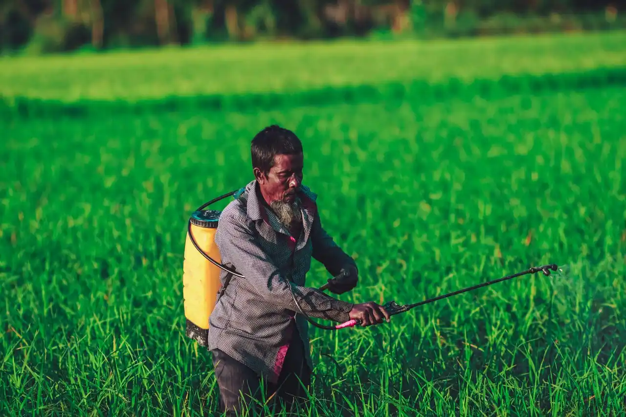 Freno a los pesticidas peligrosos en alimentos importados / Foto: PB