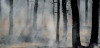 Humo y brasas en un bosque durante el incendio de Harding, en Saskatchewan (Canadá), en 2018 / Foto: UP