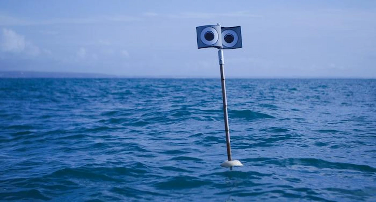 Un espantapájaros flotante conocido como boya de ojo amenazante / Foto: Fishtek Marine