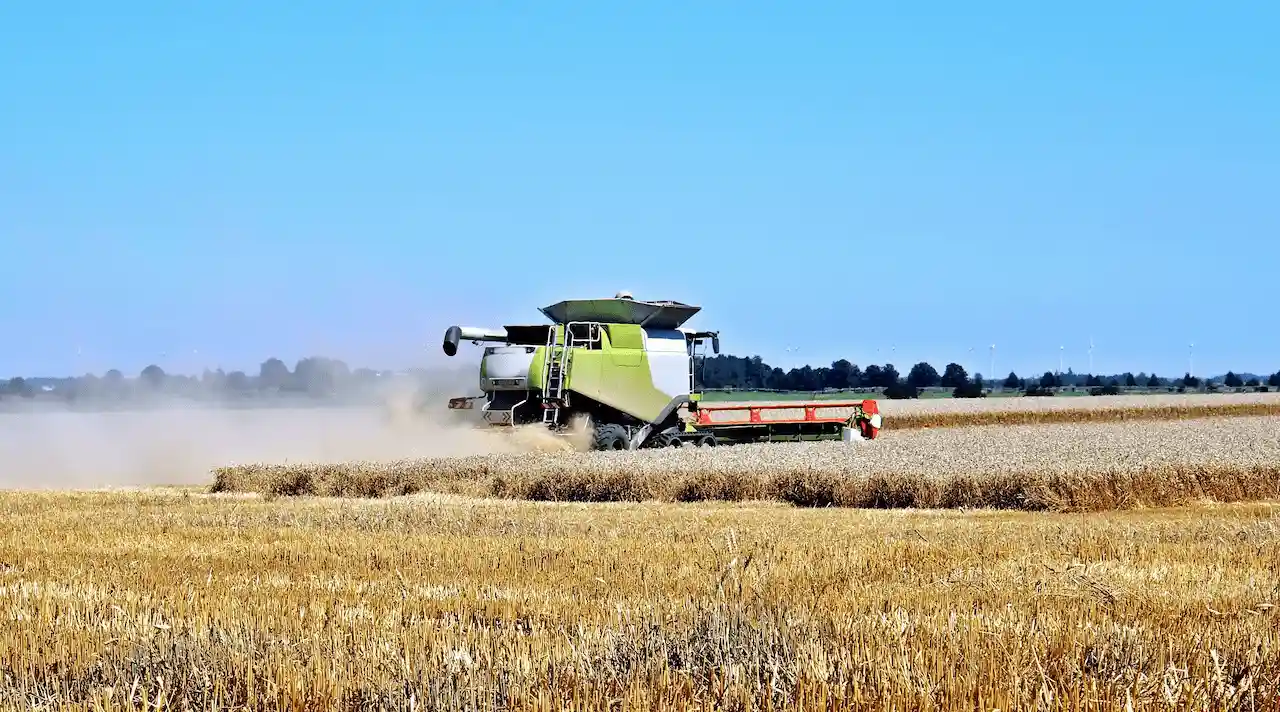 Una cosechadora trabaja en un campo de trigo / Foto: PX
