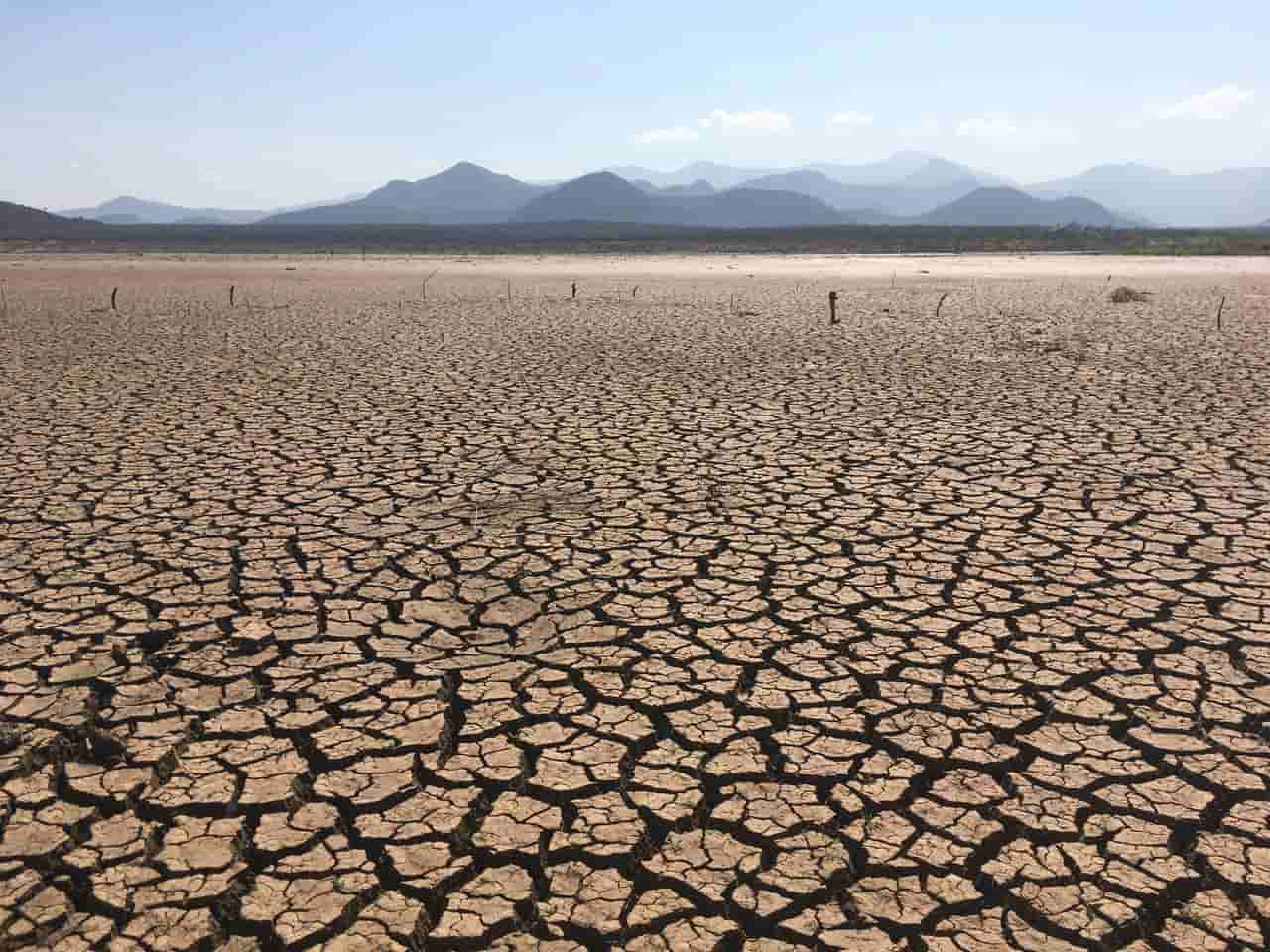 Suelo agrietado por la sequía, uno de los riesgos asociados a El Niño / Foto: PX Suelo agrietado por la sequía, uno de los riesgos asociados a El Niño / Foto: PX
