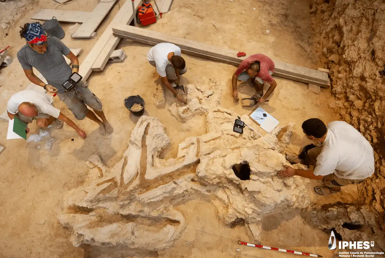 Trabajo de dibujo y registro durante la excavación del objeto de madera en el Abric Romaní / Foto: Gerard Campeny (IPHES-CERCA)