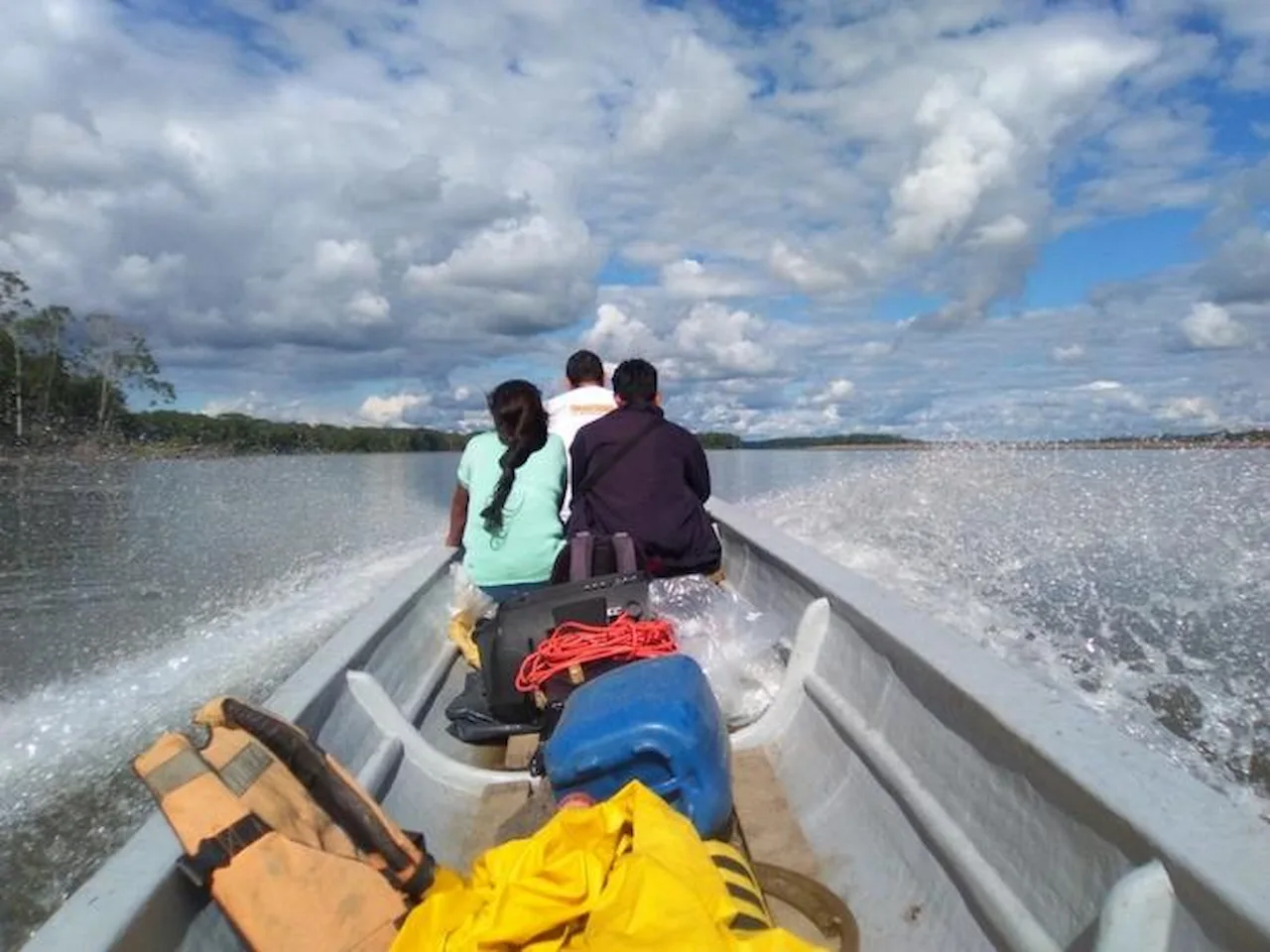 Viaje en lancha por el río Napo, en la Amazonía ecuatoriana, donde viven las comunidades quichuas del estudio / Foto: Dr. Julie Dayot Viaje en lancha por el río Napo, en la Amazonía ecuatoriana, donde viven las comunidades quichuas del estudio / Foto: Dr. Julie Dayot