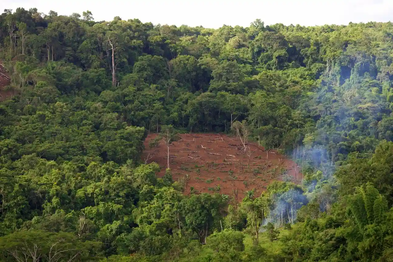Vista aérea de deforestación en la provincia de Mondulkiri (Camboya) / Foto: PX Vista aérea de deforestación en la provincia de Mondulkiri (Camboya) / Foto: PX