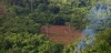 Vista aérea de deforestación en la provincia de Mondulkiri (Camboya) / Foto: PX Vista aérea de deforestación en la provincia de Mondulkiri (Camboya) / Foto: PX