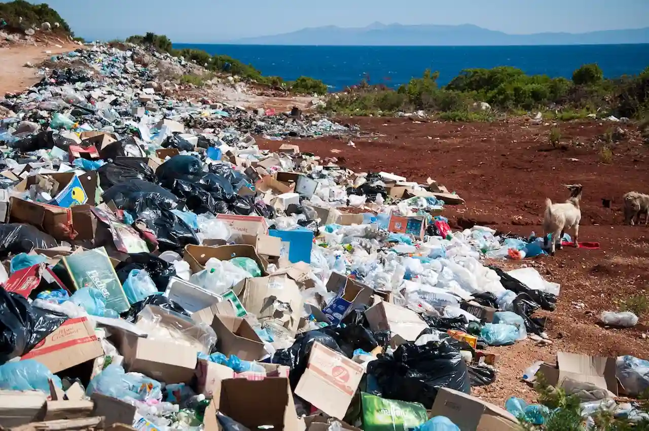 Los microplásticos pueden liberar sustancias tóxicas en el agua / Foto: UP